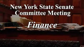 Senate Standing Committee on Finance - 06/03.2024