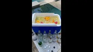 Mega Margarita Jungle Juice 🍉🍊 