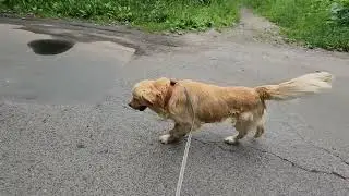 28 июня 2023 г.