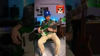 Top 5 bass lines: Pinguini Tattici Nucleari ☢️ #pinguinitatticinucleari #basscover #bassplayer