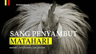 Ayam Jago dan Ajaran Negeri Matahari