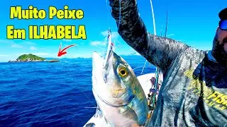 ESSE LUGAR TEM MUITO PEIXE | Pescaria no Mar.