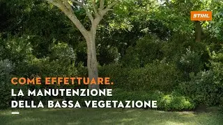 Tutorial: come effettuare la manutenzione della bassa vegetazione
