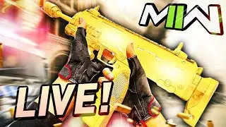 Gold Gun Grind Losing Brain Cells Playing Shipment