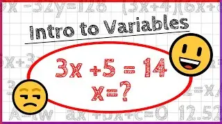 What Are Variables?
