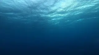 мой дискорд сервер
