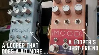 Chase Bliss Audio Blooper and Mood - A Looper's Dream?