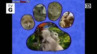 filler video