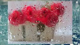 Ливень. Исполняет Игорь Наджиев