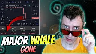 Major SafeMoon Whale GONE | SafeMoon Posts About Liquidity