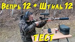 ПУЛЯ 12 КАЛИБРА на ДОЗВУКЕ || ДТК ШТИЛЬ 12