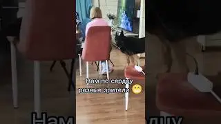 Интервью и подкасты. Неординарные личности и их правила жизни. #бэкстейдж #подкасты #гении