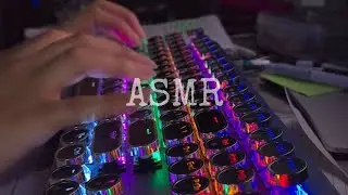 [ Cozy ASMR ] Study With Me: ASMR Typing on RGB Keyboard 🌈 | Real Homework Session