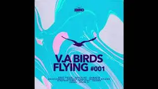 Out_Ctrl & Audio Go - Adroit (Original Mix) [the BIRD Rec.]