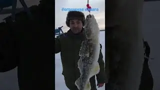 🎣Рыба сломала удочку.