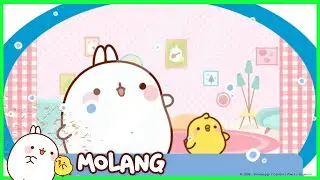 Molang - The Parcel | 