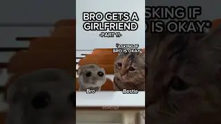 CAT MEMES 🐱 BRO GETS A GIRLFRIEND PT.11 #relateable #relationship #cat #catlover #shorts