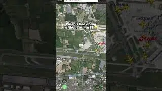 Would you install Wings DLC?