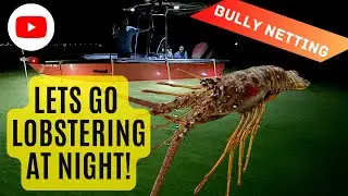 Catching Lobster at Night