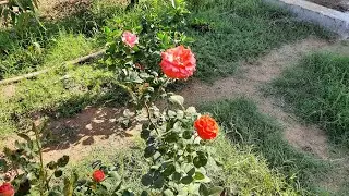Kuch bhi ho Jaye - B Praak | My Garden video