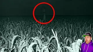 weirdcore images with the Yume Nikki soundtrack REACTION!!