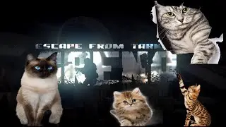 Жмякаем мусякаем и идём работать на завод в #escapefromtarkovarena
