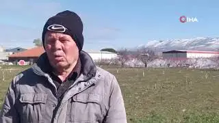 Denizli'de Meyve Ağaçlarını Dondan Buzla Koruyorlar - Denizli Haberleri - HABERDENİZLİ.COM