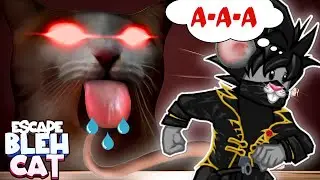Стал МЫШОНКОМ и сбежал от ОГРОМНОГО КОТА из лабиринта Escape Bleh Cat Roblox Cheyz