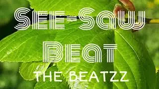 SEE-SAW BEAT | THE BEATZZ