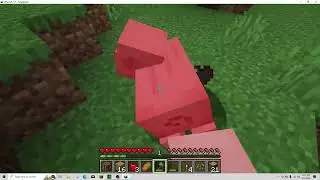 Minecraft! Vlog #1 building a House.