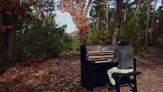 Autumn Falls - James Malikey (Official Video)