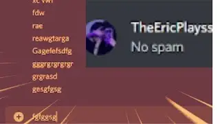 Breaking Rules in Discord servers be like...