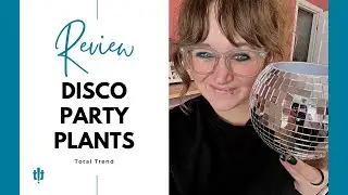 Groovy Greenery 🌿🌟🕺 Lunar Sol Disco Ball Planter Review. Link in description👇 #plants #houseplants