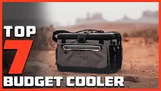 Best Budget Coolers for Camping: Quality on a Budget