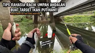 CARA RACIK UMPAN ANDALAN TARGET IKAN PUTIHAN!!Mancing wader dan putihan teknik kumbul umpan RASBORA