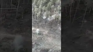 #ебашим