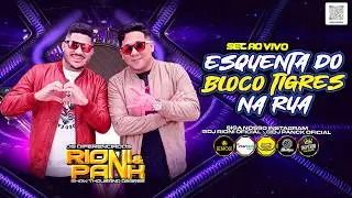 #05 RIONI EO PANCK AO VIVO - ESQUENTA DO BLOCO TIGRES NA RUA 17\01\2025 @djsrionieopanck