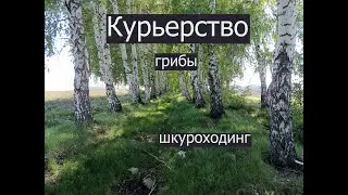 Заказ не влазит в короб - штраф!