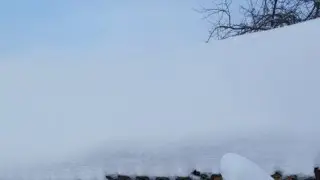 What's Happening in the Barn