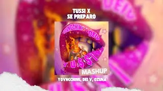 YOVNGCHIMI, Dei V, Ozuna - TU$$I x Se Preparó (David Farré MashUp)