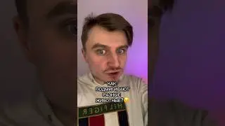 КАК ПОДМИГИВАЮТ РАЗНЫЕ ЖИВОТНЫЕ???