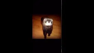 трейлер про моего друга)))