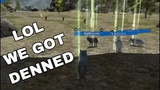 The Wolf - PvP messing around