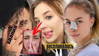 Покров расплакалась, Аня показала нос, что случилось с Егором Кридом?