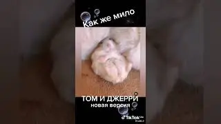 29 мая 2022 г.