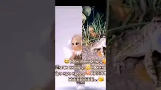 #реки