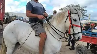 Horse Fair 🐎 in Caruaru, PE, May 19, 2026