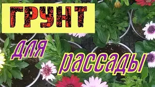 Грунт, мои эксперименты. Обзор готовых субстратов.