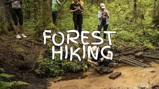 Hiking in the forest  #hiking #forest