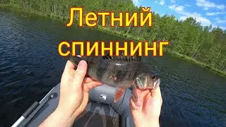 Ловля щуки и окуня в июне